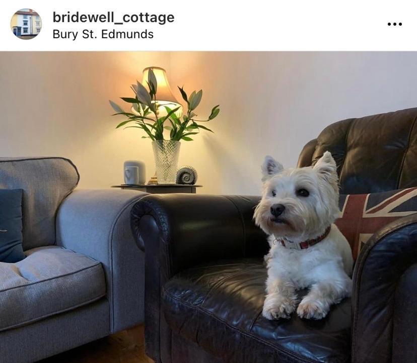 Sweet & Cosy 10 Bridewell Cottage With Parking Available Upon Request Bury St. Edmunds ภายนอก รูปภาพ