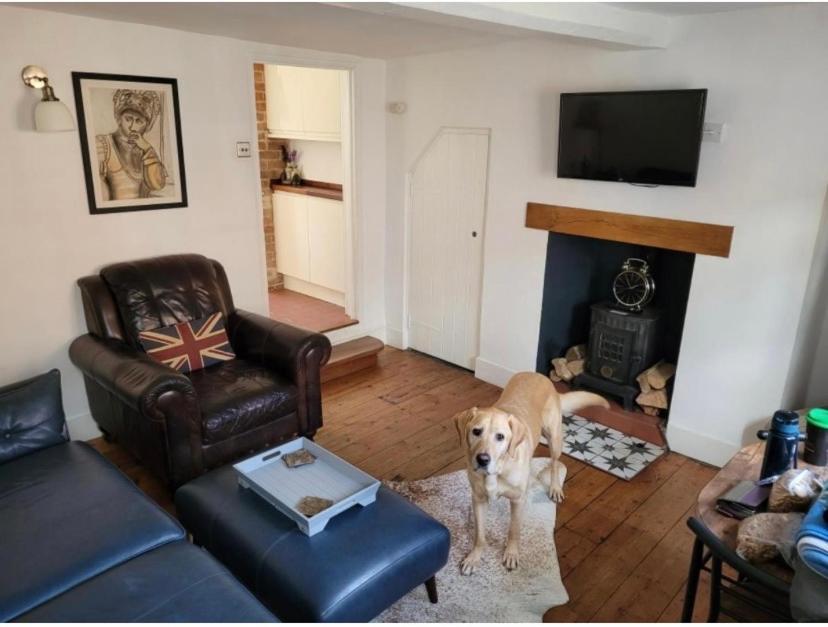 Sweet & Cosy 10 Bridewell Cottage With Parking Available Upon Request Bury St. Edmunds ภายนอก รูปภาพ